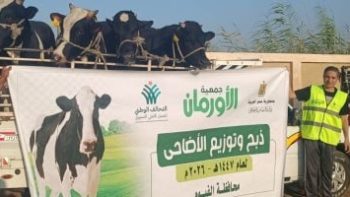جمعية الأورمان عضو التحالف الوطني تُطلق حملة نحر الأضاحي خلال فعاليات العيد