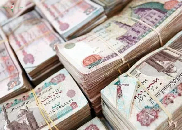 حقيقة تبكير صرف زيادة المعاشات وموعد التطبيق الرسمي قبل حلول عيد الأضحى