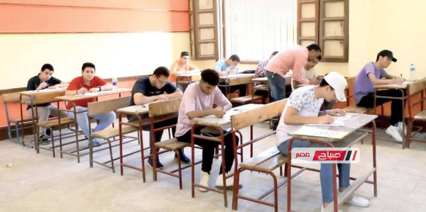 حل النموذج الاسترشادي الثامن كيمياء 2026 ومراجعة شاملة لطلاب الثانوية العامة قبل الامتحان