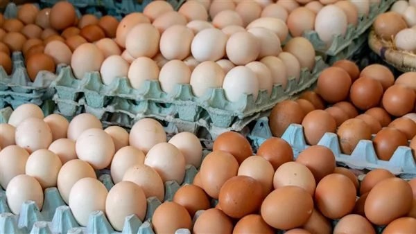 دون الـ 100 .. هبوط كبير في سعر كرتونة البيض بالأسواق