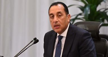 رئيس الوزراء يصدر قرارا بتحديد سعر بيع الغاز المورد لصناعة البتروكيماويات