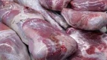 رئيس شعبة القصابين: ارتفاعات من 10 إلى 15 جنيها للكيلو في أسعار العجول -جريدة المال