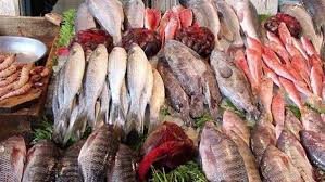 رغم تراجع الطلب.. ارتفاع أسعار السمك البلطي في الأسواق