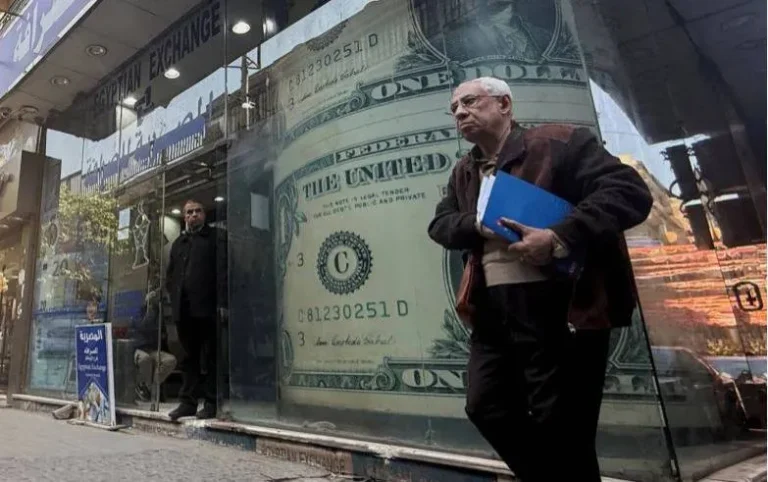 زيادة تحويلات المغتربين لا تكبح ارتفاع سعر الدولار في مصر