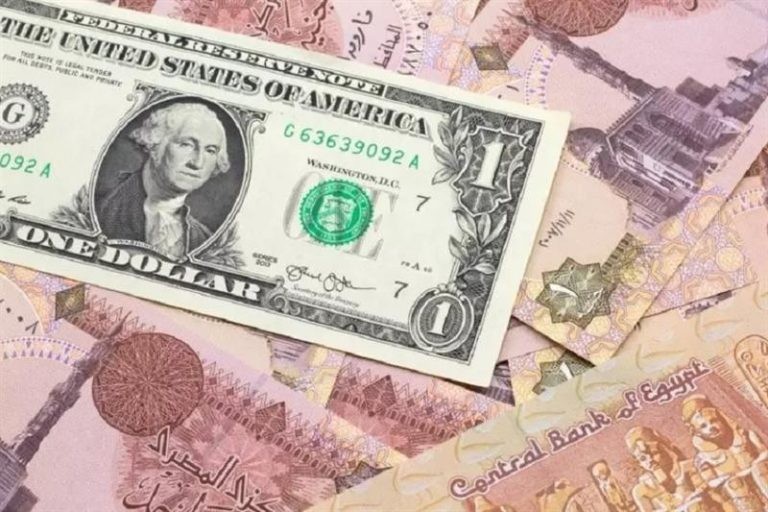 سعر الدولار اليوم الأحد 24-5-2026 أمام الجنيه في بداية التعاملات -جريدة المال