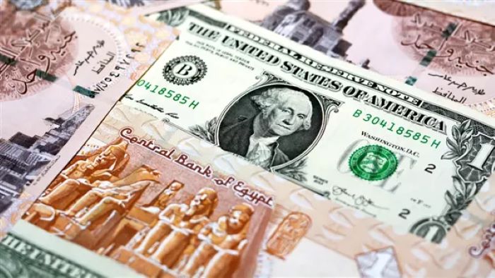سعر الدولار اليوم السبت 2 مايو 2026 في البنوك المصرية