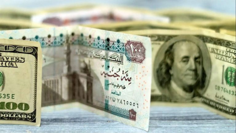 سعر الدولار اليوم في البنوك بعد التحديث الأخير