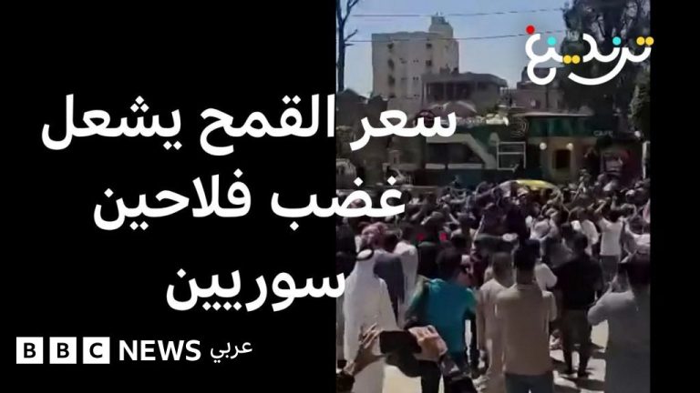سعر القمح يشعل غضب فلاحين سوريين