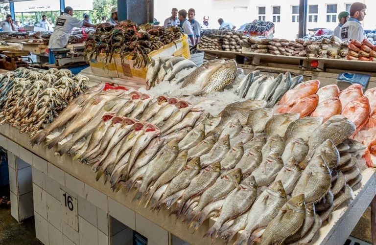 سوق الأسماك: أسعار المأكولات البحرية والأصناف المجمدة اليوم الأحد 24 مايو 2026