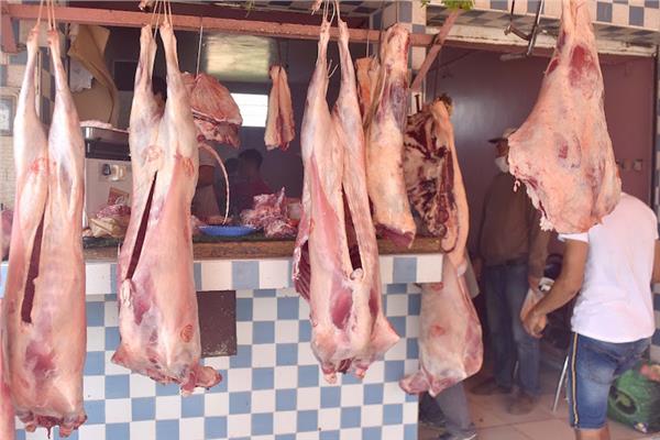 شعبة القصابين: «الجزارين مش عارفين يعيشوا بسبب أسعار اللحوم»