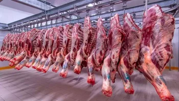 شعبة القصابين: وفرة المعروض المحلي والمستورد وراء استقرار الأسعار