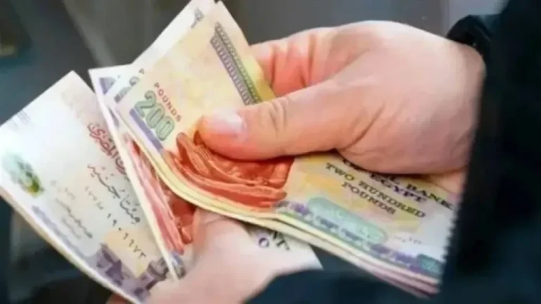 شهادات الادخار في مصر.. منافسة قوية بين البنوك بعد تثبيت الفائدة