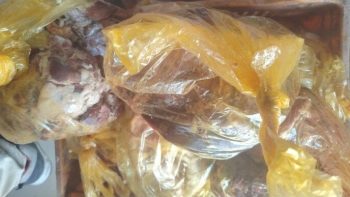 ضبط 105 كيلو لحوم وكبدة فاسدة في أسيوط قبل عيد الأضحى – الأسبوع