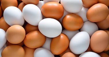 كرتونة البيض بـ100 جنيه.. أسعار البيض بكفر الشيخ الأحد 3 مايو 2026
