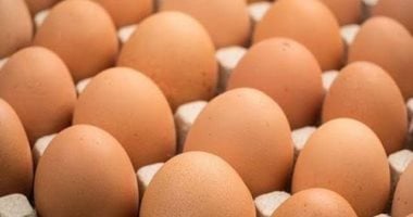 كرتونة البيض بكام؟.. أسعار البيض بكفر الشيخ الثلاثاء 19 مايو 2026
