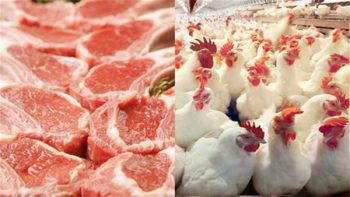 كيلو الفراخ بـ 76 واللحوم تقترب من 520 جنيها.. ننشر أسعار الدواجن واللحوم قبل عيد الأضحى