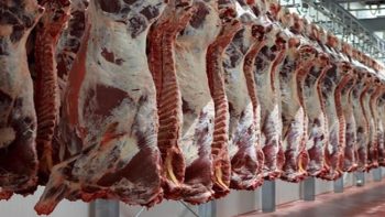 لتلبية احتياجات المواطنين.. طرح كميات من اللحوم والسلع بأسعار مخفضة في الشرقية