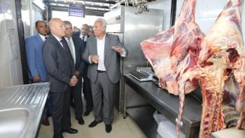 محافظ القاهرة يطمئن على توافر اللحوم بأسعار مناسبة في عين الصيرة| صور