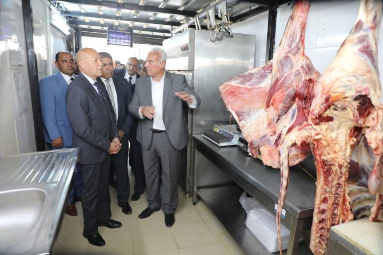 محافظ القاهرة يطمئن على توافر اللحوم بأسعار مناسبة في عين الصيرة| صور