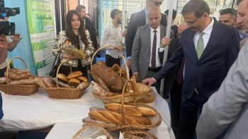 مصر ضيف شرف الدورة 24 للمعرض الدولي للفلاحة وتربية المواشي والصناعات الغذائية بالجزائر| صور | بوابة الزراعة