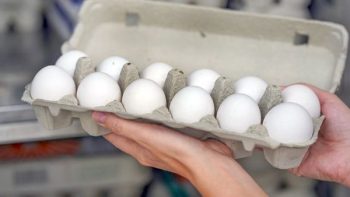 مفاجأة في سعر كرتونة البيض.. هل تنخفض لـ70 جنيها قريبا؟