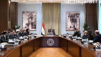 نائب رئيس الوزراء يطالب بتحسين كفاءة الشركات العامة وتحقيق استغلال افضل لأصولها