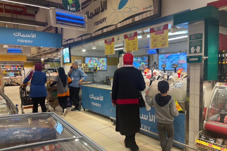 هل تتراجع أزمة الطاقة والغذاء بمصر أم تستمر تداعيات الحرب؟ | اقتصاد