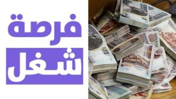 وزارة العمل تعلن طرح وظائف في القطاع الصناعي برواتب تصل إلى 7000 جنيه لعام 2026