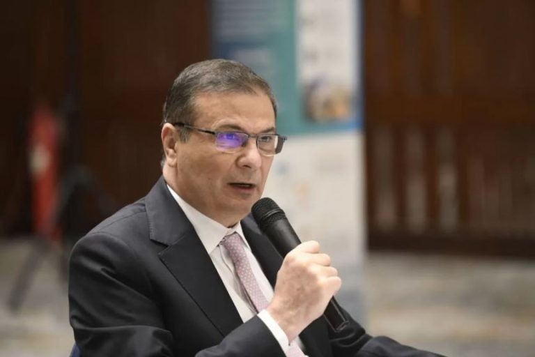 وزير الزراعة: الرئيس السيسي يولي القطاع اهتمامًا غير محدود لتحقيق الأمن الغذائي | بوابة الزراعة