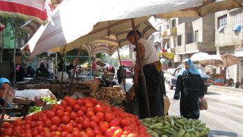 الطماطم بـ 10 جنيهات والفراخ بـ 80.. أسعار الخضراوات واللحوم والأسماك اليوم بمصر