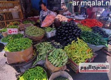 أسعار الخضروات والفواكه بالمنوفية الجمعة 5 يونيو 2026 – مقالات نيوز