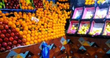 الطماطم بـ20 جنيهاً.. اعرف أسعار الخضروات بالمحلات والأسواق بالأقصر