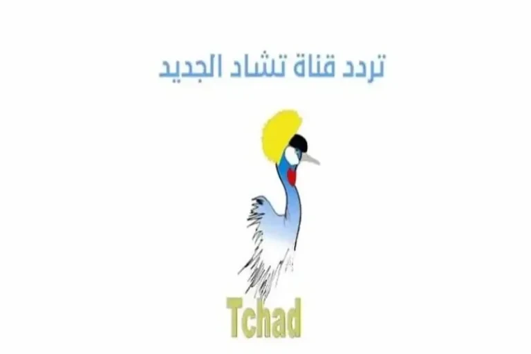 تردد قناة tele tchad لمشاهدة كأس العالم 2026 مجانًا
