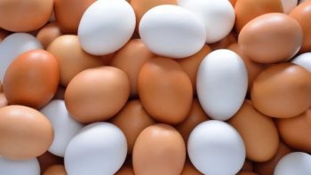 السعر انخفض بالأسواق.. اعرف البيض الأحمر والأبيض والبلدي بكام؟