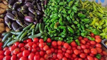 انخفاض سعر الطماطم اليوم الأربعاء 3 يونيو 2026.. شعبة الخضروات تزف بشرى للمواطنين