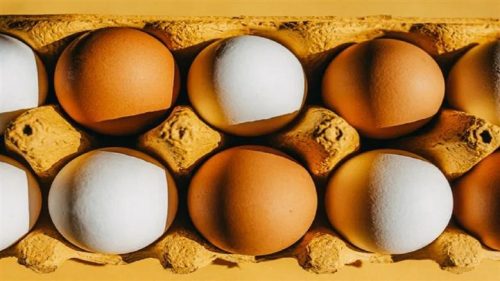 سعر كرتونة البيض اليوم الخميس 18-6-2026 في بورصة الدواجن وللمستهلك