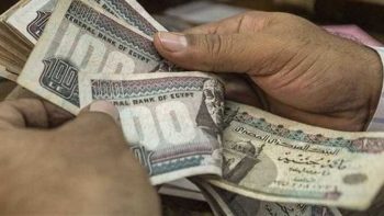 رواتب وتأمينات.. “العمل” تعلن عن 4504 وظيفة في 14 محافظة خلال يونيو