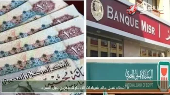 5 أخطاء تقلل عائد شهادات الادخار للمصريين قبل الشراء