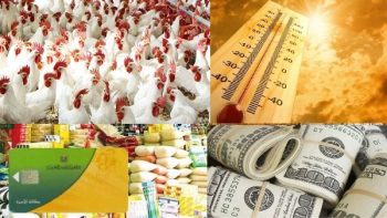 أخبار التوك شو| مفاجأة بشأن تحويل الدعم العيني لـ نقدي وأسعار الذهب والدولار وحالة الطقس
