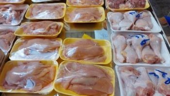 البانيه بـ190 جنيها.. مفاجأة في أسعار الفراخ والبيض اليوم الأثنين