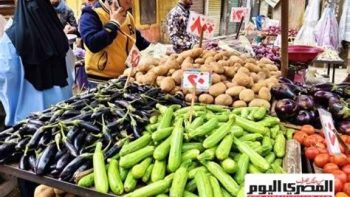 أسعار الخضراوات اليوم السبت 6-6-2026 بأسواق مطروح.. الخيار بـ 15 جنيها – مقالات نيوز