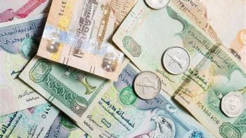 الدرهم الإماراتي يفقد 56 قرشًا أمام الجنيه المصرى.. تعرف على السعر اليوم