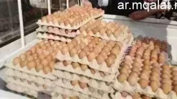سعر البيض بالقليوبية اليوم الإثنين 8-6-2026 يصل إلى 73 جنيها لل Abort الأبيض