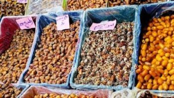 أسعار البلح السيوي والتمور بأسواق مطروح الإثنين 22-6-2026