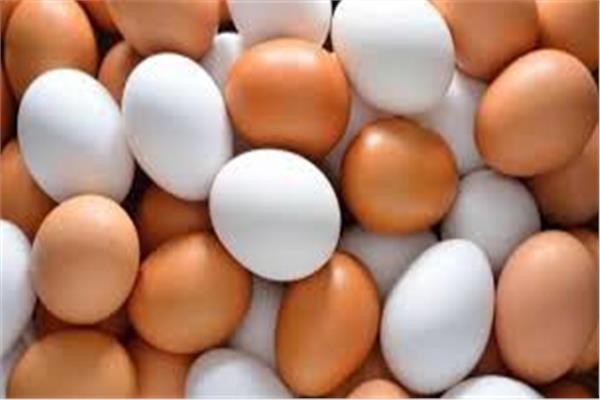 أسعار البيض اليوم الخميس 18 يونيو 2026 بعد التحرك الأخير