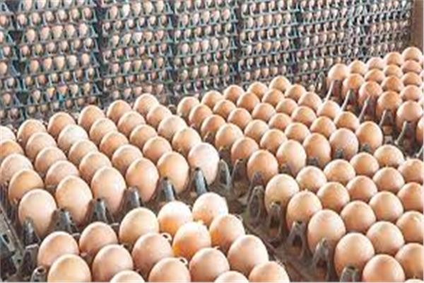 أسعار البيض اليوم الخميس 4 يونيو 2026