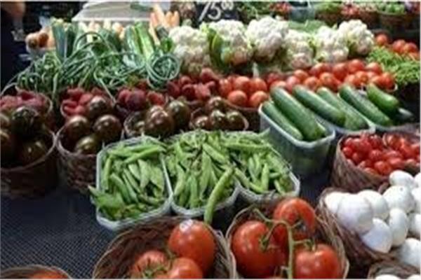 أسعار الخضراوات اليوم 6 يونية 2026.. «البطاطس» تبدأ من 9 جنيهات للكيلو