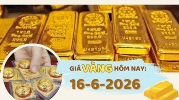 أسعار الذهب اليوم، 16 يونيو: انخفاض حاد في أسعار النفط، وارتفاع في أسعار الذهب.