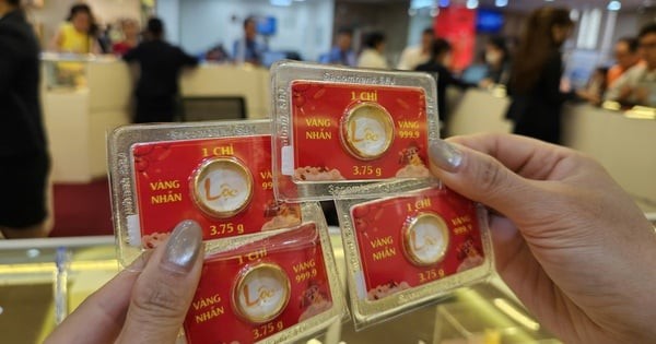 أسعار الذهب اليوم، 7 يونيو: خسارة أكثر من 40 مليون دونغ فيتنامي للأونصة، مما أصاب مشتري الذهب الذين كانوا في ذروة الأسعار بالدوار.