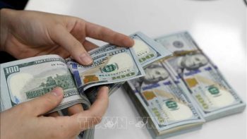 أسعار الصرف اليوم، 19 يونيو: الدولار الأمريكي ينتعش.